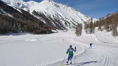 Zwei Langläufer beim Skating