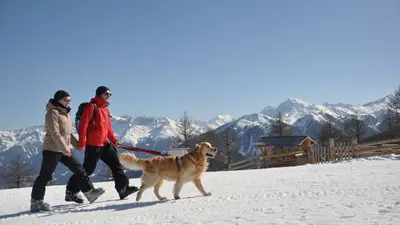 Paar mit Hund beim Wandern