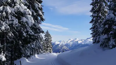 Gespurte Loipe in Ratschings