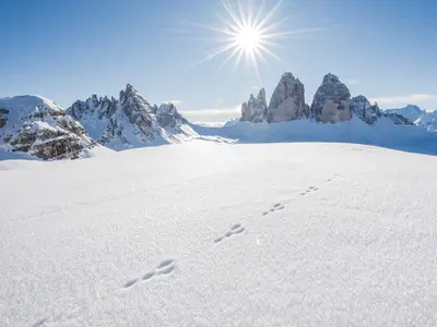 Spuren im Schnee © Harald Wisthaler - wisthaler.com