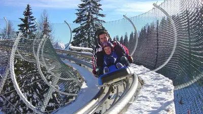 Rasanter Abfahrtsspaß mit dem Alpine Coaster