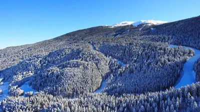 Pisten zwischen den Wäldern