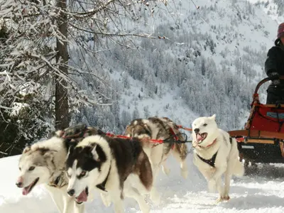 Husky Village In Arnoga, Valdidentro © www.huskyvillage.it