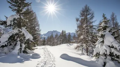 Schneeschuhwandern im Ultental