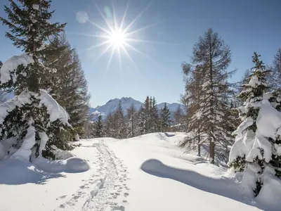 Tief verschneit zeigt sich das Ultental in Südtirol © Gert Pöder