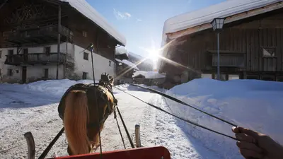 Pferdeschlittenfahrt durch Pfelders