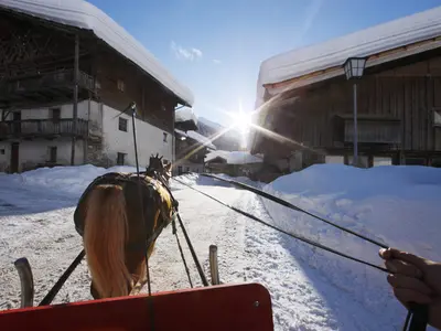 Pferdeschlittenfahrt durch Pfelders © MGM/Frieder Blickle