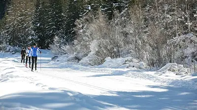 Langläufer auf einer Loipe in Santa Caterina Valfurva