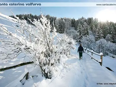 Wanderer auf einem Winterwanderweg bei Santa Caterina © Consorzio Tourisport S. Caterina S.r.l.
