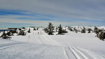Loipen im Skigebiet Sjusjoen Skicenter