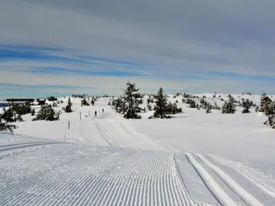 Loipen im Skigebiet Sjusjoen Skicenter © Sjusjoen Skicenter