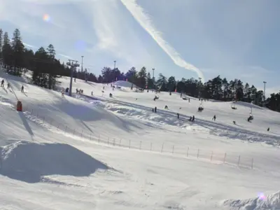 Blick auf die Pisten im Skigebiet Gautefall Alpine Centre © Gautefall Skisenter AS