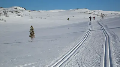 Langläufer im Skigebiet Nesbyen