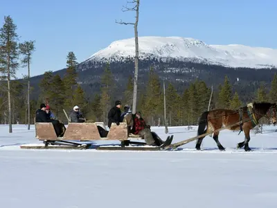 Pferdeschlitten © Nisse Schmidt - Idre Fjäll
