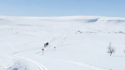 Langläufer in der Natur um Funäsfjällen