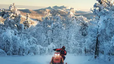 Schneemobil in der verschneiten Winterlandschaft von Funäsfjällen