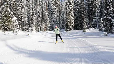 Langlauf in Big White