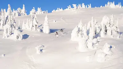 Tief verschneite Winterwelt im Skigebiet Big White