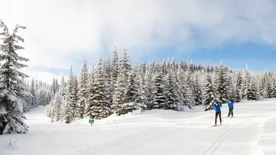 Langlaufen im Skigebiet Sun Peaks