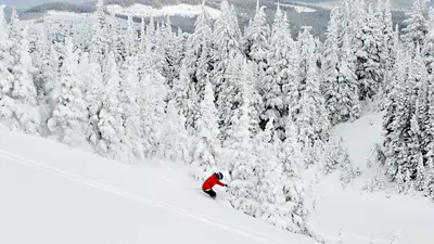 Skifahrer im Skigebiet Sun Peaks