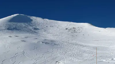 Breite Pisten und herrlicher Schnee  im Skigebiet Marmot Basin