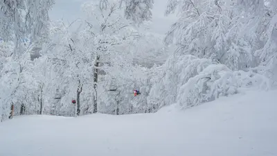 Schneelandschaft Mont Sutton