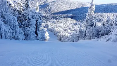 Ausblick auf frisch präparierte Pisten in Mont Sutton