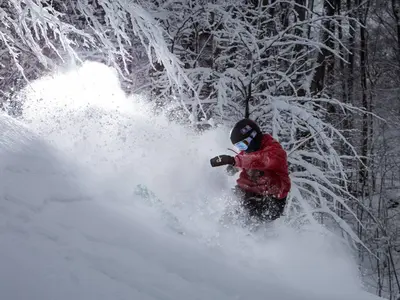 Powder-Schnee im Skigebiet Horseshoe © Horseshoe Resort