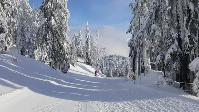Abfahrt am Cypress Mountain