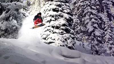 Skifahrer beim Sprung im Tiefschnee auf einem Treerun im  Red Mountain Resort