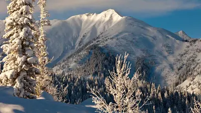 Blick ins Skigebiet Aspen Snowmass