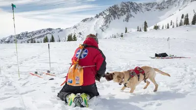 Die Ski Patrol in Snowbird