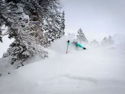 Tiefschneeabfahrt in Snowbird © Snowbird, Matt Crawley