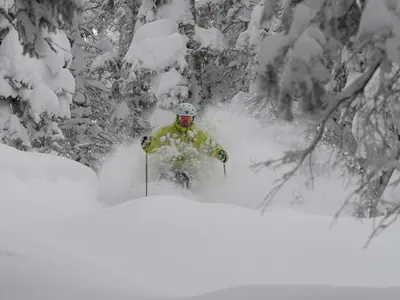 Tiefschneeabenteuer in Steamboat © Steamboat Ski & Resort Corp