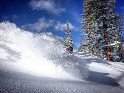 Tiefschneeabfahrt in Beaver Creek © BC Mountain, Brendan McCue