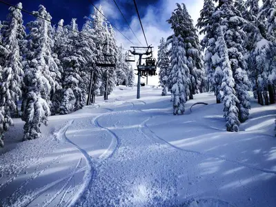 Blick auf die Piste Sierra © Sierra at Tahoe