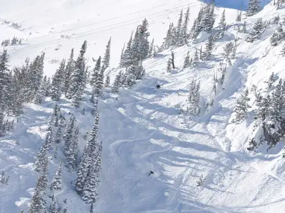 Tiefschnee in Bridger Bowl © Bridger Bowl Ski Area