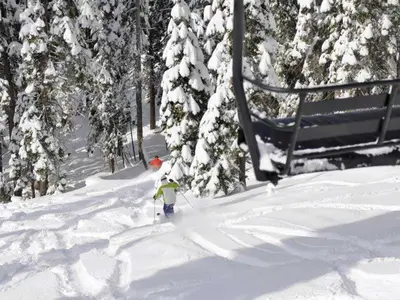 Tiefschneeabfahrt  © Dodge Ridge