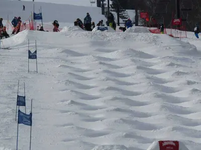 Die Buckelpiste  © Bristol Mountain Resort