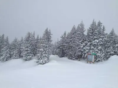 Neuschnee in Timberline © Timberline Ski Area