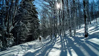 Langlaufparadies Greek Peak