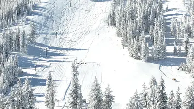 Nordhang Homewood Mountain Resort