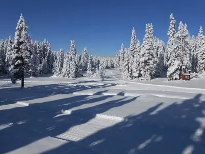 Skigebiet Royal Gorge © Royal Gorge Cross Country Resort