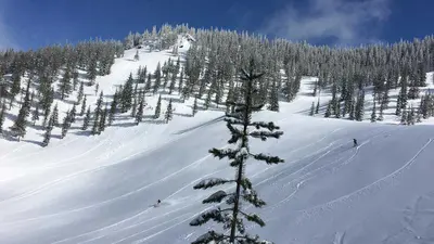 Skigebiet Mount Hood Ski Bowl