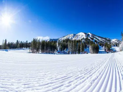 Bestens präparierte Pisten © Mount Rose Ski Tahoe