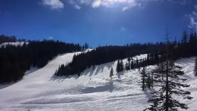 Breite, sonnige Abfahrten im Skigebiet 49 Degrees North