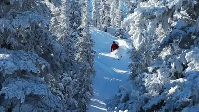 Fahrt durch den frischen Tiefschnee