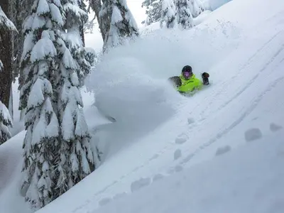 Tiefschneeabfahrt im Skigebiet © Mount Baker Ski Area
