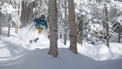 Skifahrer bei der Abfahrt durch den Wald am Bear Mountain in Killington