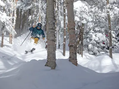 Bear Mountain © Killington Resort